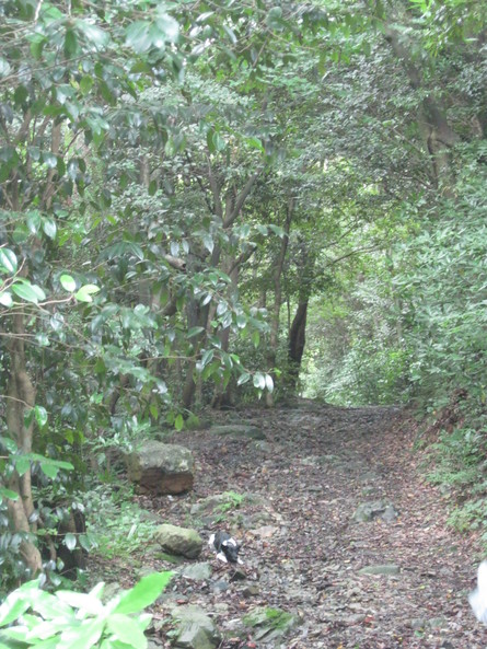 「黒崎と 水汲み」~~_a0125419_2072638.jpg