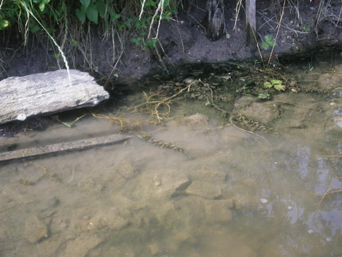 c0124619_4105840.jpg