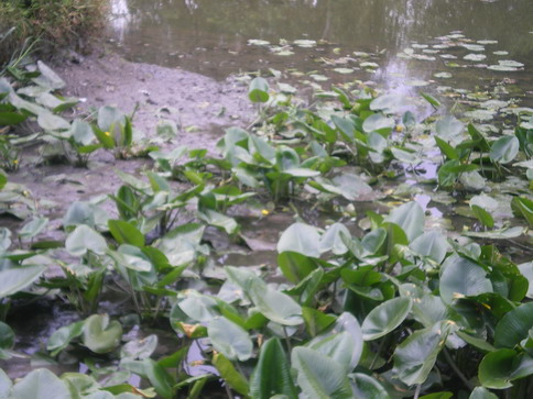 c0124619_4131750.jpg