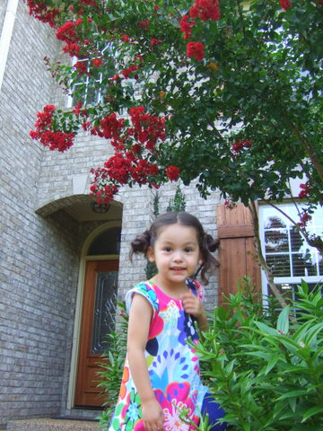 c0151122_13551448.jpg