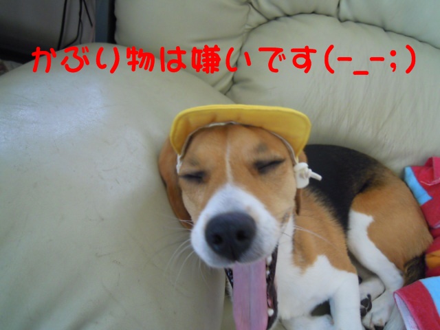 c0166622_14275919.jpg