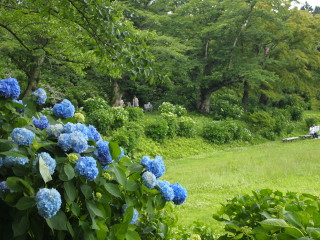b0147224_23541945.jpg