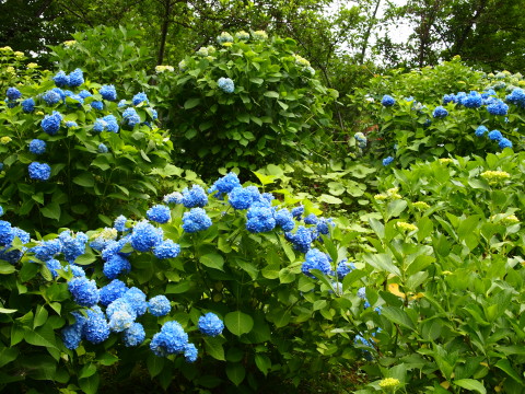 b0147224_2356522.jpg