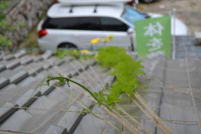b0165233_10135571.gif