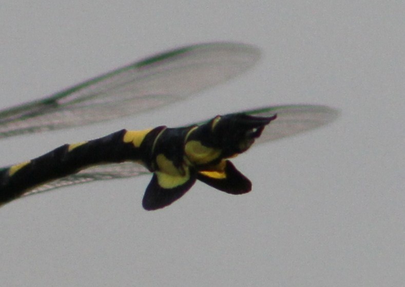 c0172139_23534720.jpg