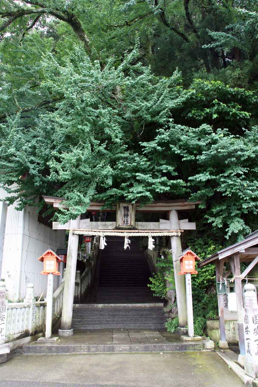 梅雨明けと「鴨神社」・「田寸神社」「下鴨神社」♪_d0058941_2002458.jpg