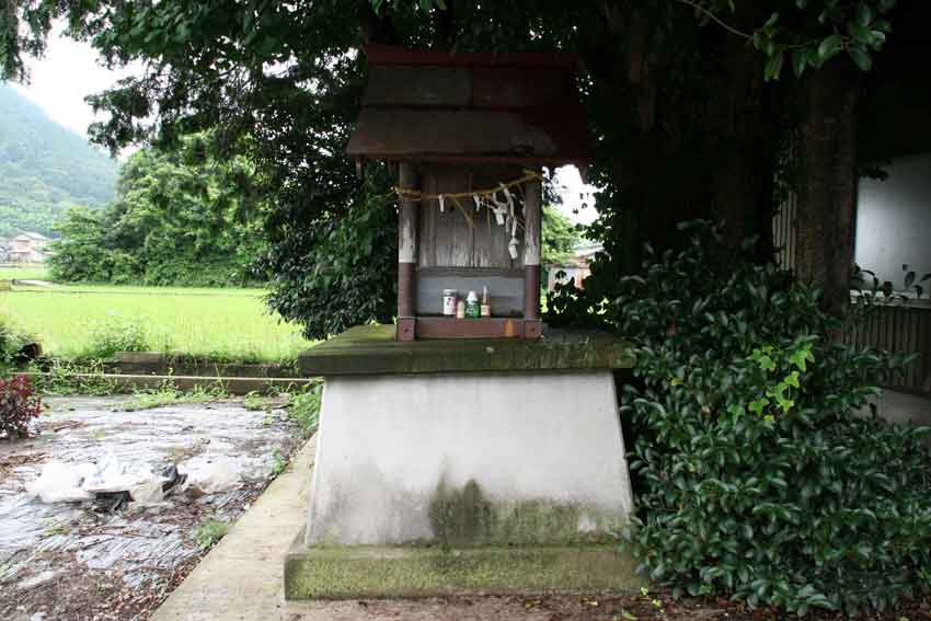 梅雨明けと「鴨神社」・「田寸神社」「下鴨神社」♪_d0058941_20562954.jpg