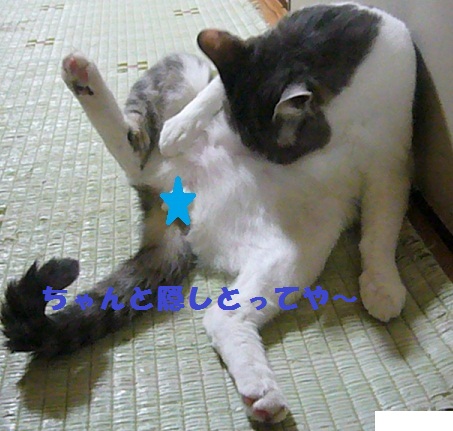 和歌山の震度5強_f0002743_13441224.jpg