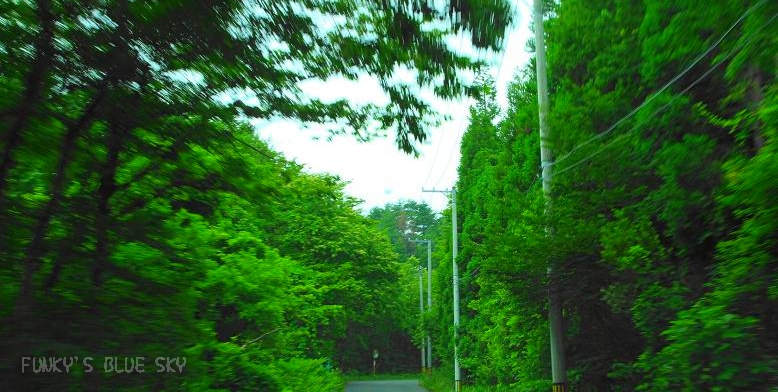 ちょっとドライブ～♪　【ニッコウキスゲの世界谷地へ】_c0145250_10295852.jpg