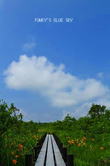 c0145250_10433198.jpg