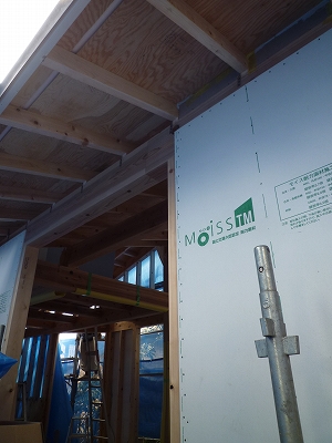 c0127058_71328.jpg