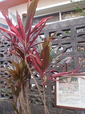 c0180460_2243485.jpg
