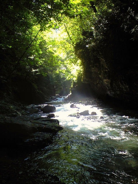 沢登りで山登りのお誘い_d0110562_1726177.jpg