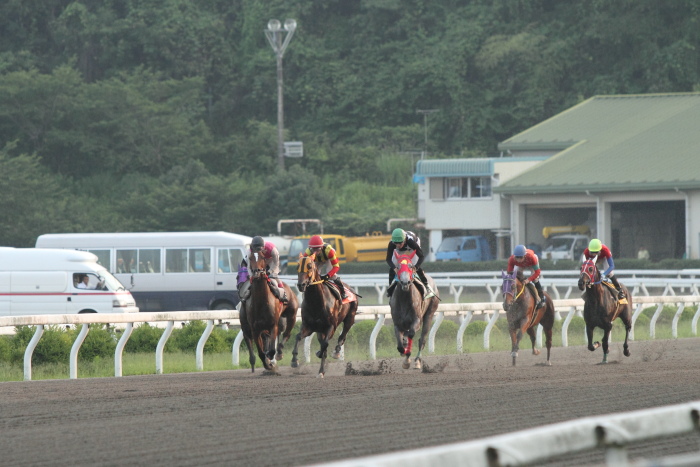 2011年7月2日（土） 高知競馬 7R B-5_a0077663_8563444.jpg