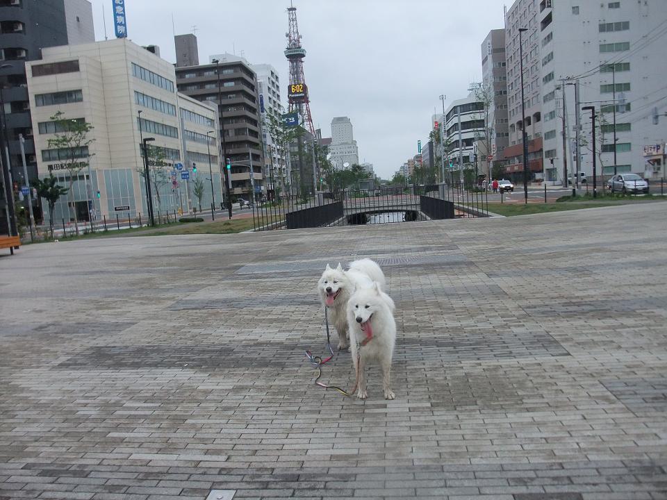 創成川公園_b0102267_21484462.jpg