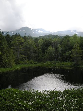 d0226767_2215489.jpg