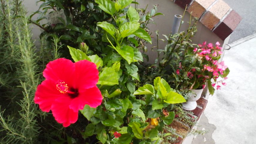 お土産_a0117168_20241112.jpg
