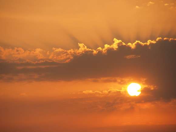 夏の太陽2011小樽 vol.1_d0087270_1611591.jpg