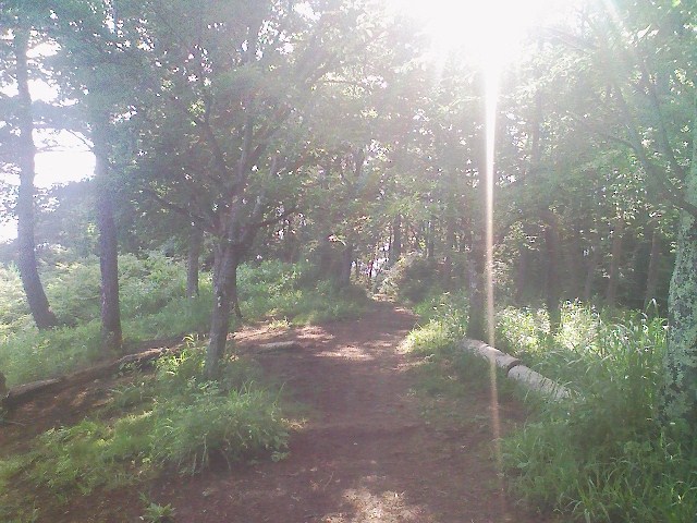 2011/07/05 百蔵山 大同山_d0233770_0262664.jpg