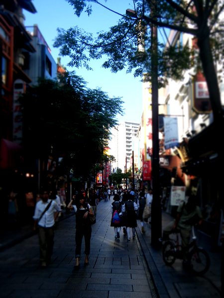 d0118876_8311540.jpg
