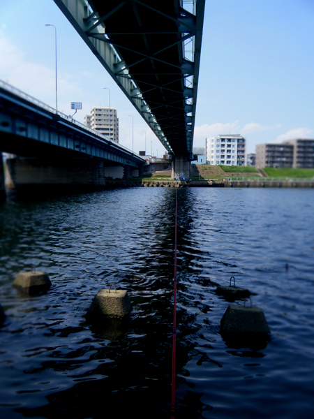 d0118876_8331134.jpg