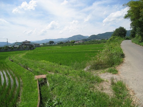 a0087378_5264925.jpg