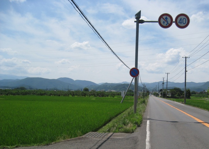 a0087378_5284652.jpg