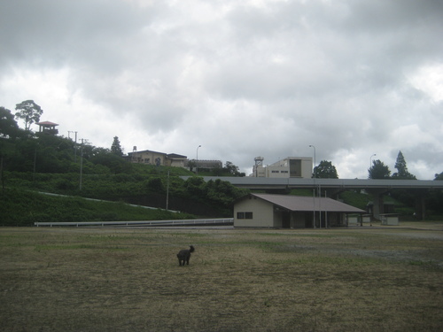 タタラで小花器作り。_d0195183_0441765.jpg