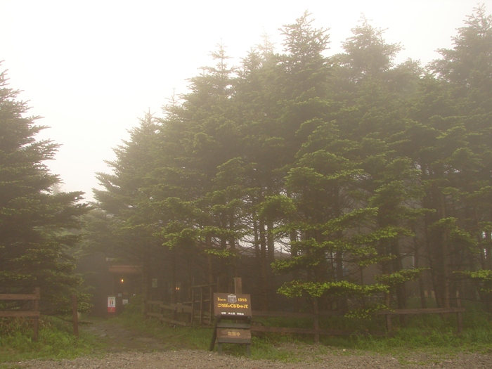 b0011185_17215331.jpg
