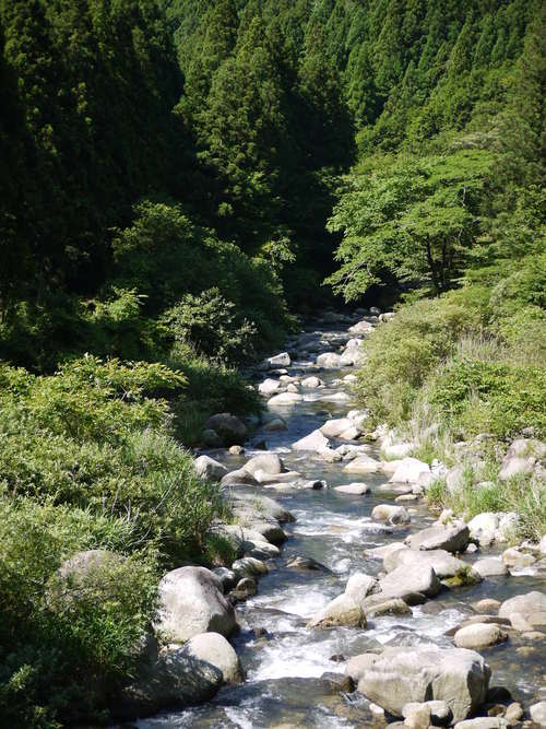 e0197785_22181942.jpg
