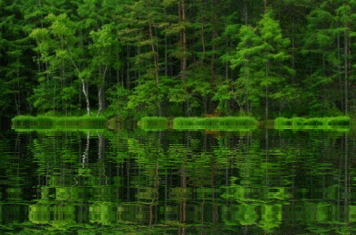 c0208389_12282370.gif