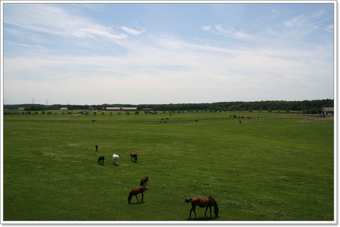 f0146493_2024666.jpg