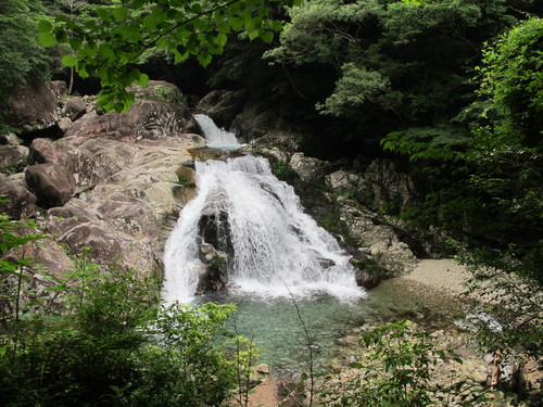 若山牧水が仰いだ～尾鈴山に登る　　2011・7・3_a0166196_16282871.jpg