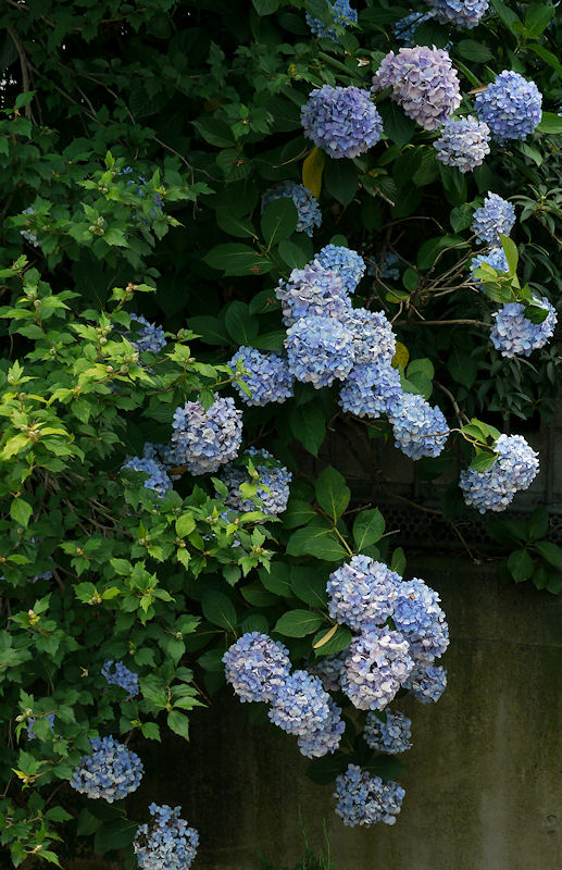 c0165301_22121337.jpg