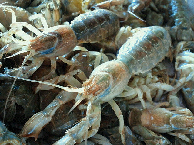 f0175403_9421718.jpg