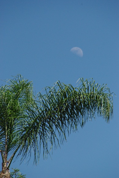 f0038904_759750.jpg