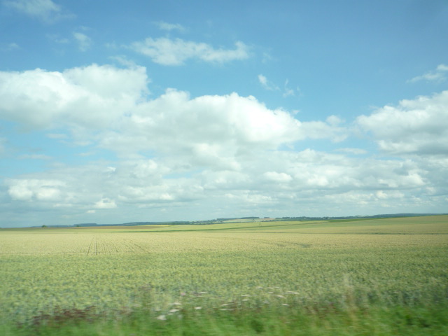 f0180307_17375066.jpg