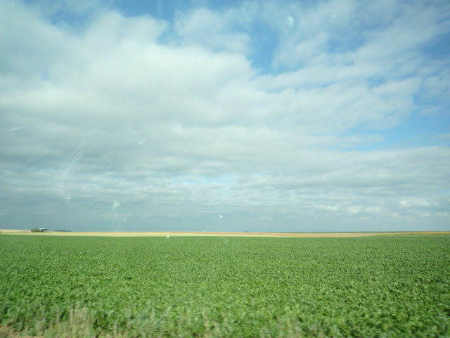 f0180307_17381626.jpg