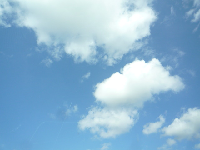 f0180307_17532045.jpg