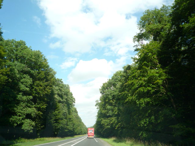 f0180307_1753976.jpg