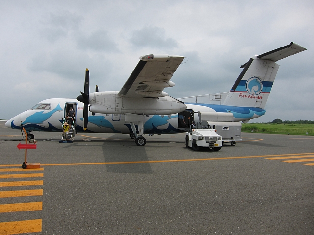 c0156908_756943.jpg