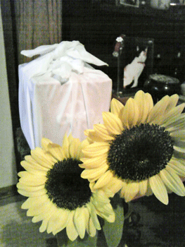 b0189509_11152983.gif