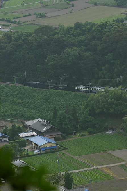 お祭りの終わり - 2011年初夏・上越重連 -_b0190710_048474.jpg