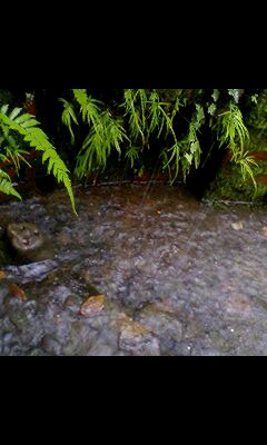 d0088611_0101065.jpg