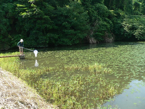 筑豊地区　池・川・湿地散策　豊前が呼んでいる！_e0002314_22235329.jpg