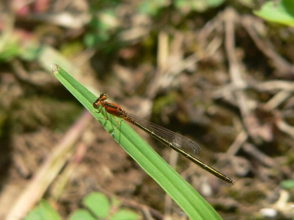 e0002314_22342598.jpg