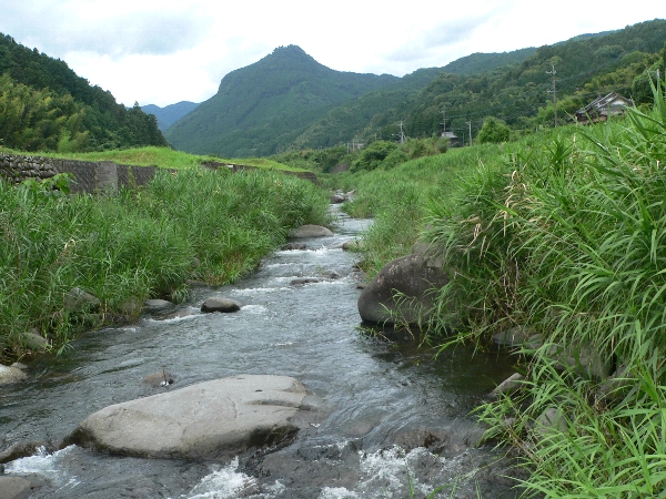 筑豊地区　池・川・湿地散策　豊前が呼んでいる！_e0002314_22344321.jpg