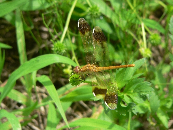 e0002314_22392673.jpg