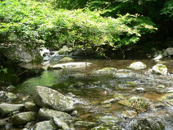 筑豊地区　池・川・湿地散策　豊前が呼んでいる！_e0002314_22482546.jpg