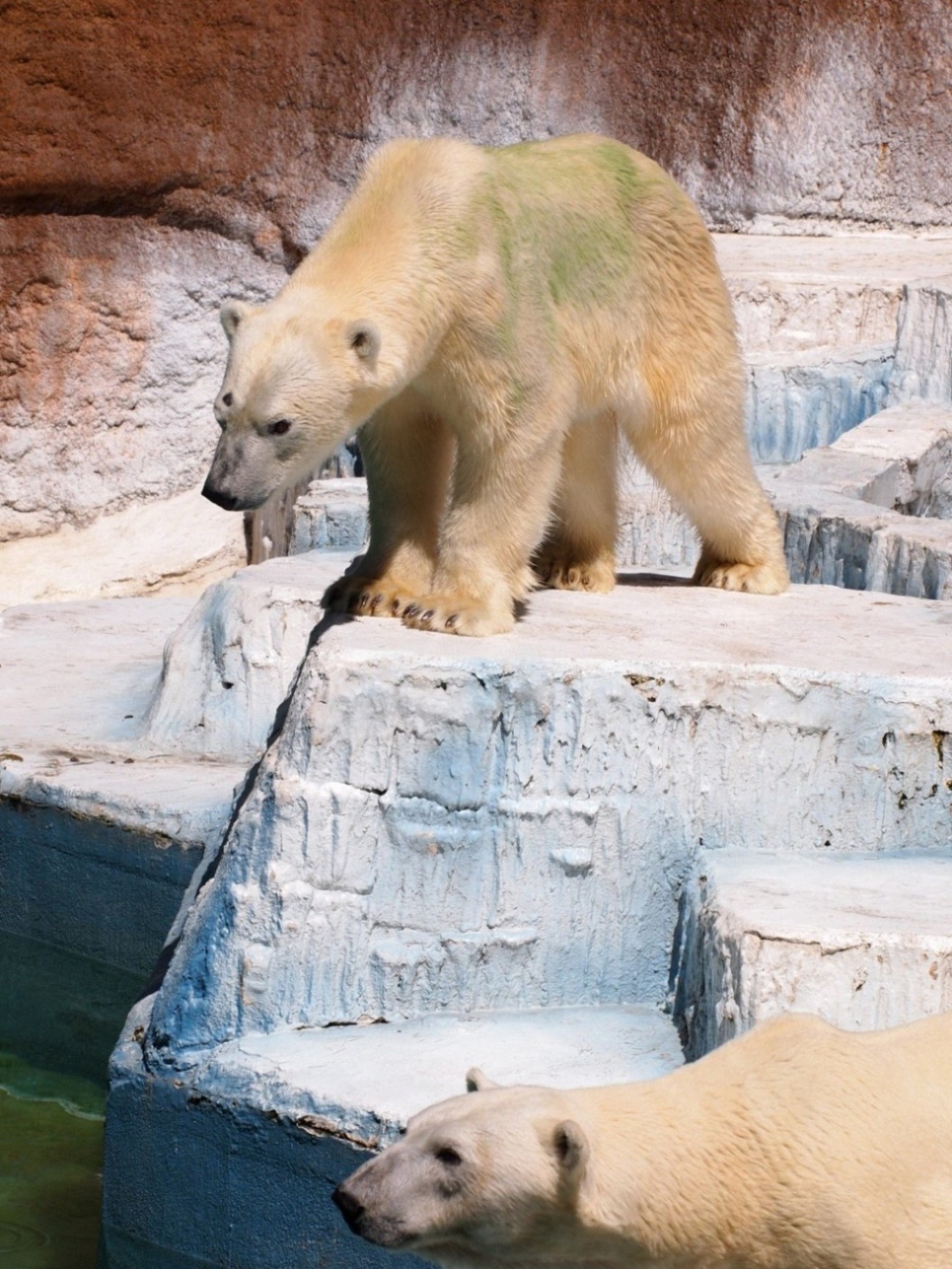 e0163618_23285236.jpg